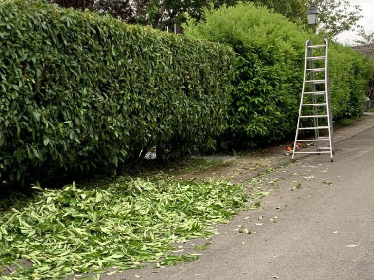 Design sans titre (1)