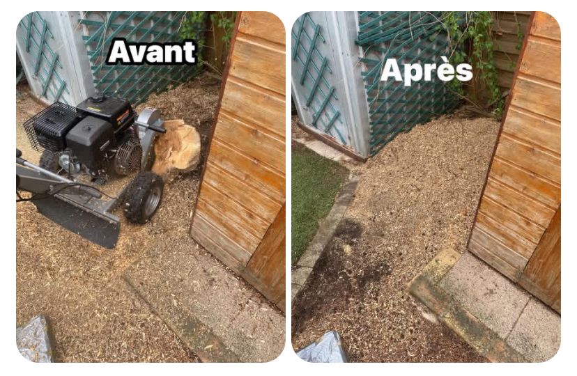 WhatsApp Image 2026-03-31 at 9.03.33 AM