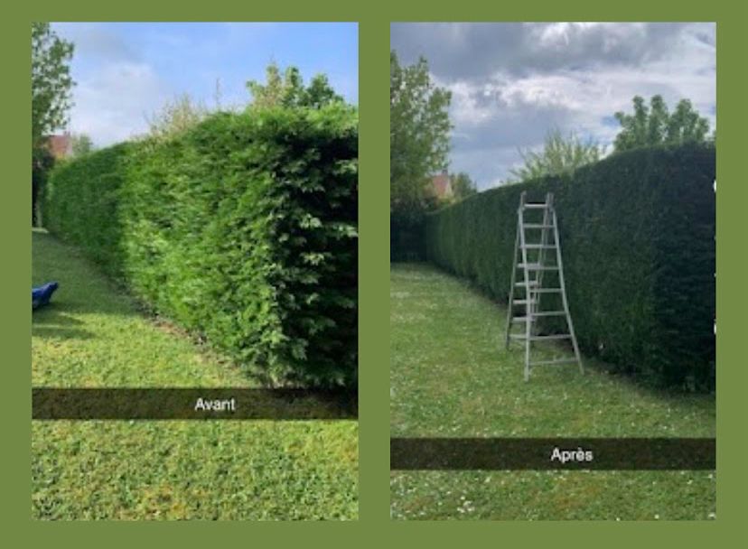 WhatsApp Image 2026-03-31 at 9.03.37 AM