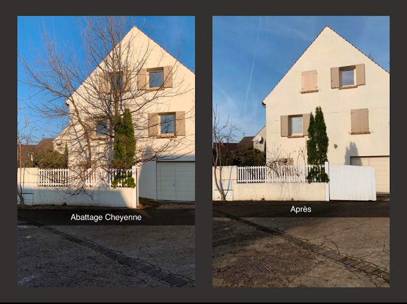 WhatsApp Image 2026-03-31 at 9.03.46 AM