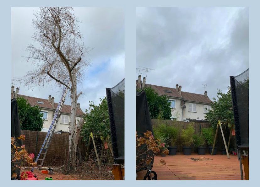 WhatsApp Image 2026-03-31 at 9.03.47 AM