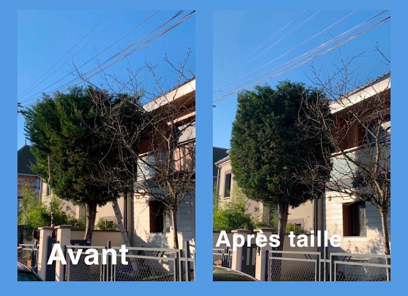 WhatsApp Image 2026-03-31 at 9.03.49 AM