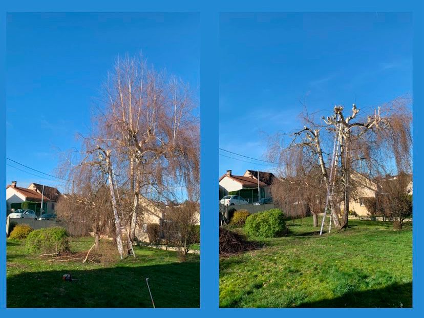 WhatsApp Image 2026-03-31 at 9.03.51 AM