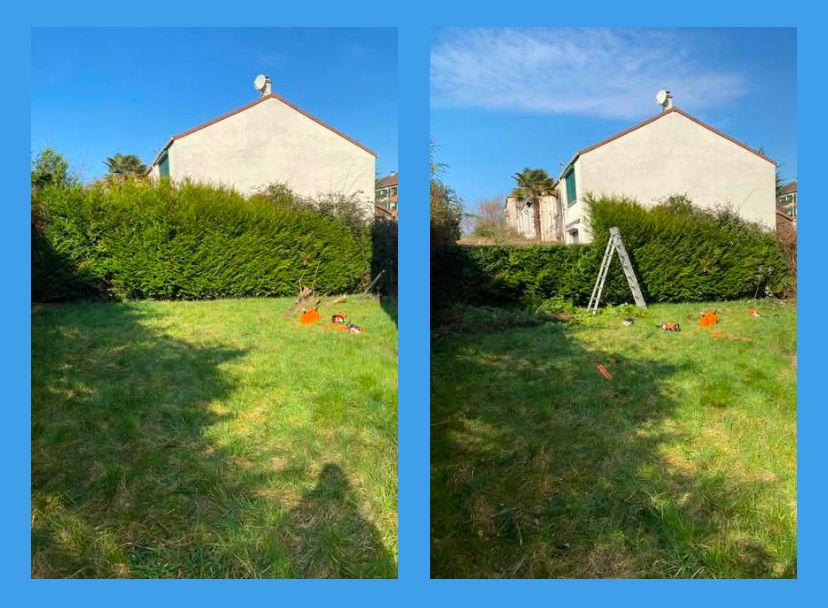 WhatsApp Image 2026-03-31 at 9.03.56 AM