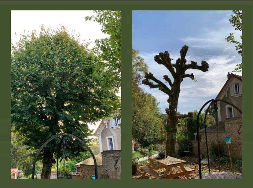 WhatsApp Image 2026-03-31 at 9.03.58 AM